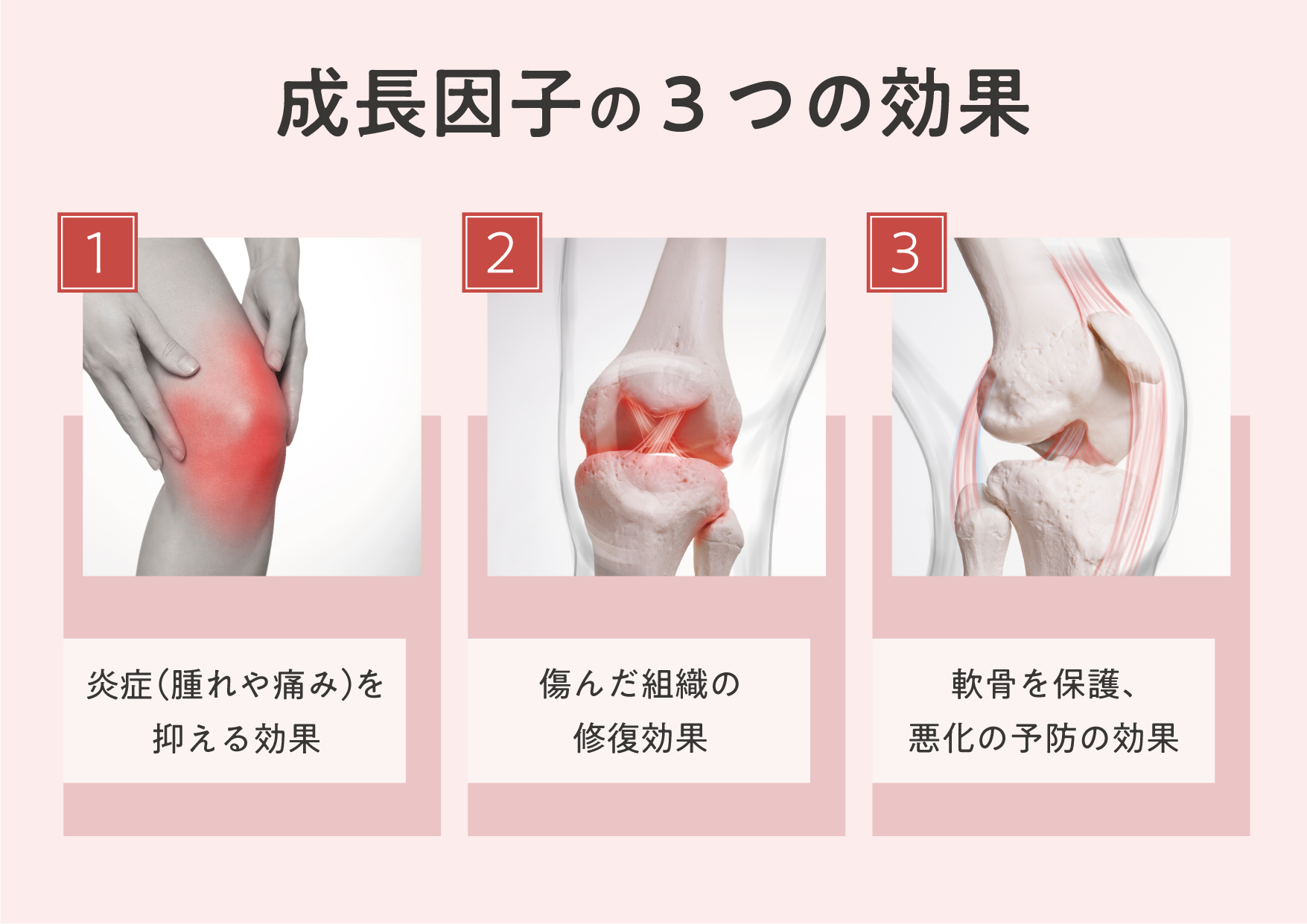 対象となる主な症状・疾患