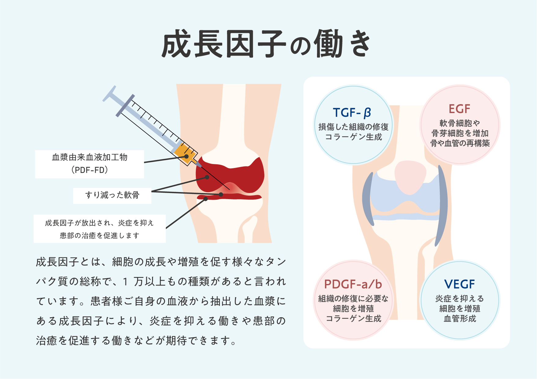 期待される作用